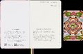 Moleskine Sakura undatierter Wochen Notizkalender, L/A5, Fester Einband ohne Box